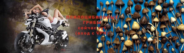 гашик Абдулино