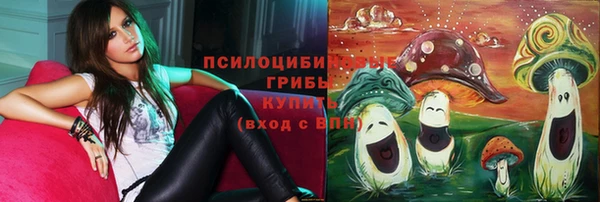 гашик Абдулино
