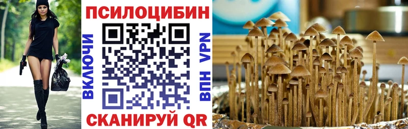 как найти наркотики МЕГА ССЫЛКА Псилоцибиновые грибы Psilocybe Тольятти